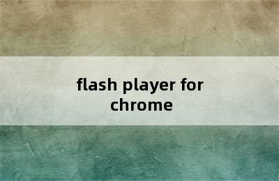 flash player for chrome